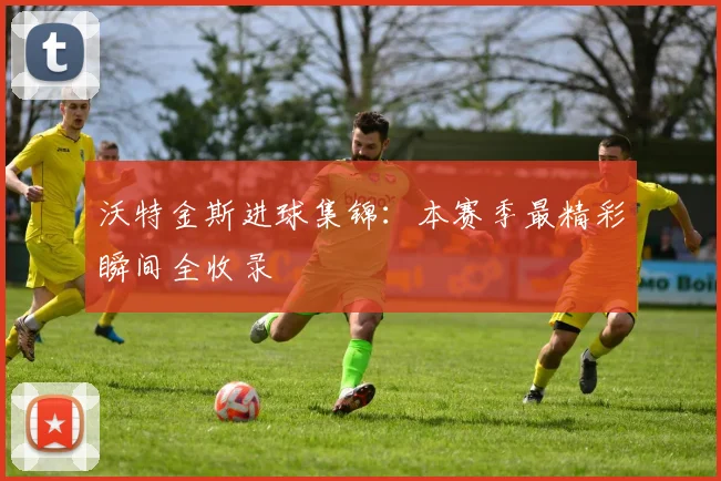 沃特金斯进球集锦：本赛季最精彩瞬间全收录