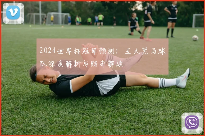 2024世界杯冠军预测：五大黑马球队深度解析与赔率解读